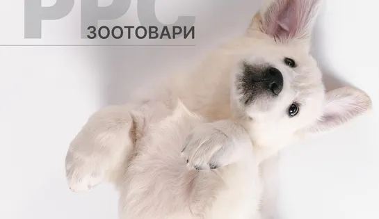 Комплексне налаштування контекстної реклами для сайту зоотоварів