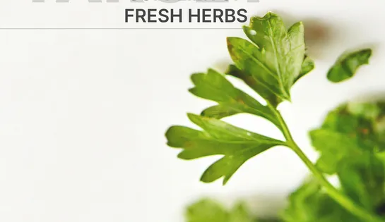 Таргетована реклама: Кейс для постачальника свіжої зелені