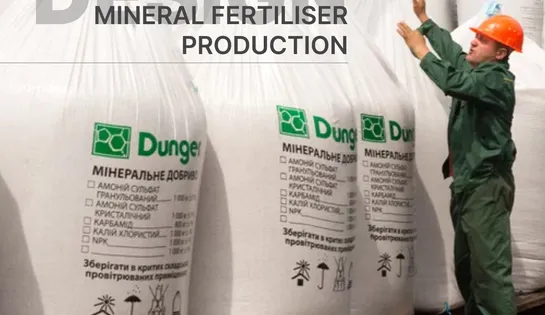 Design for an enterprise for the development and production of complex mineral fertilizers