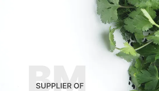 Ведення соціальних мереж постачальника свіжої зелені